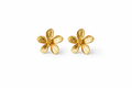 Boucle d'oreille Rose - GalerieShop.fr